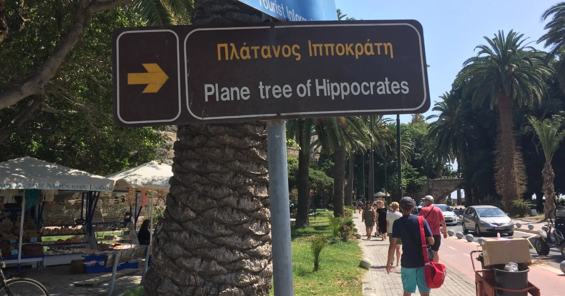 コス島にあるヒポクラテスの木への案内板