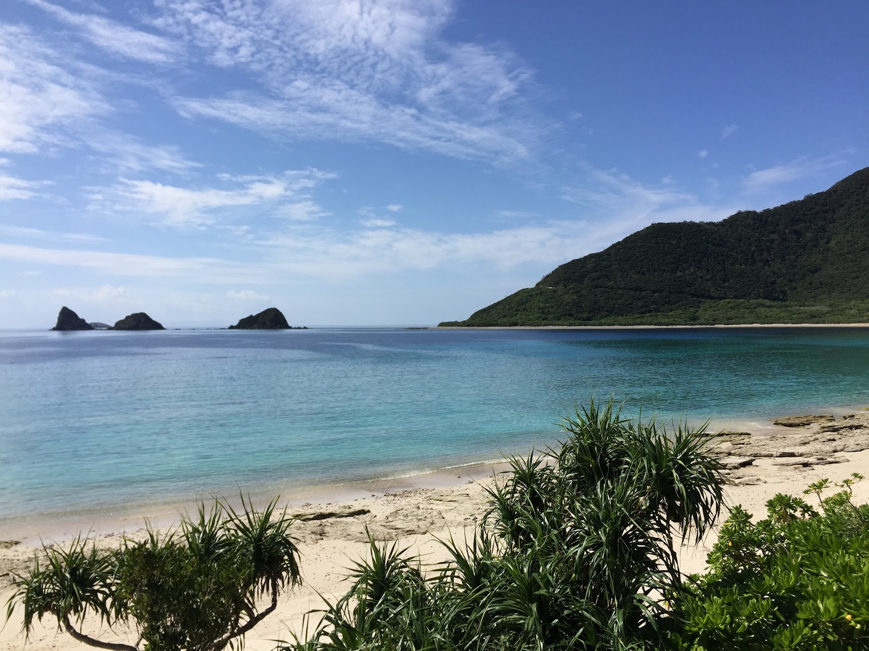 南国・奄美大島の夏の景色